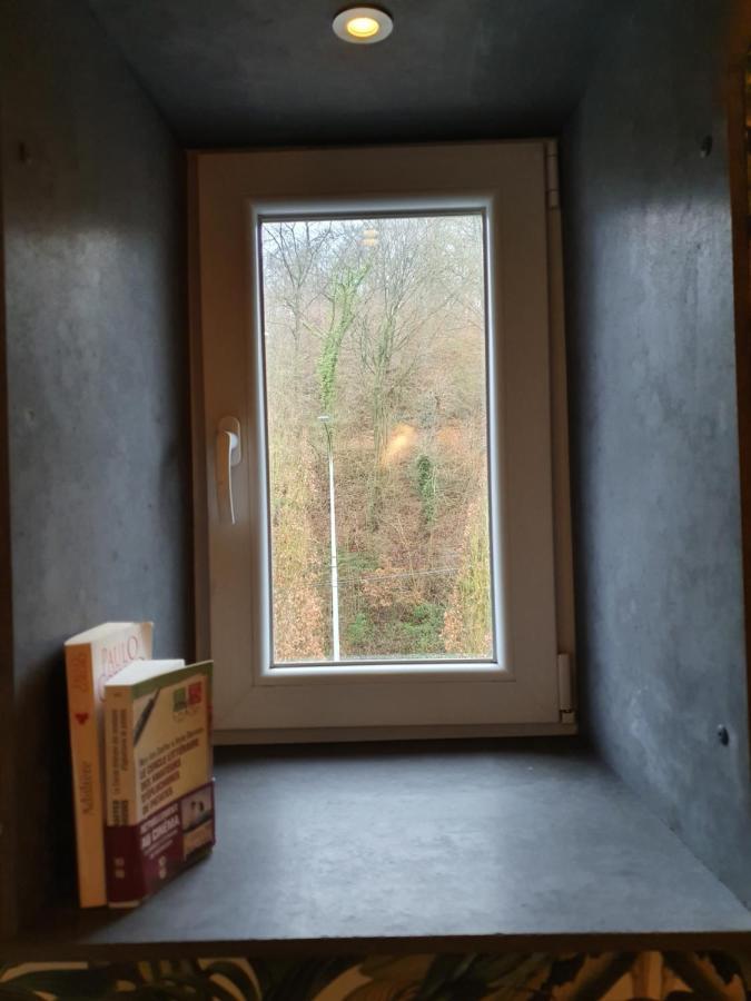 Vue Sur Meuse Apartment Профондвил Екстериор снимка